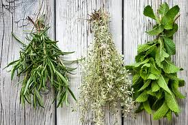 All Wholesome Herbs